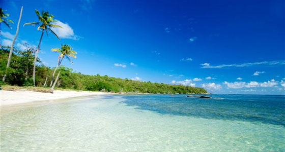 Caribbean investment with 30% in 30% out offer