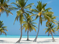 Caribbean Investment Property